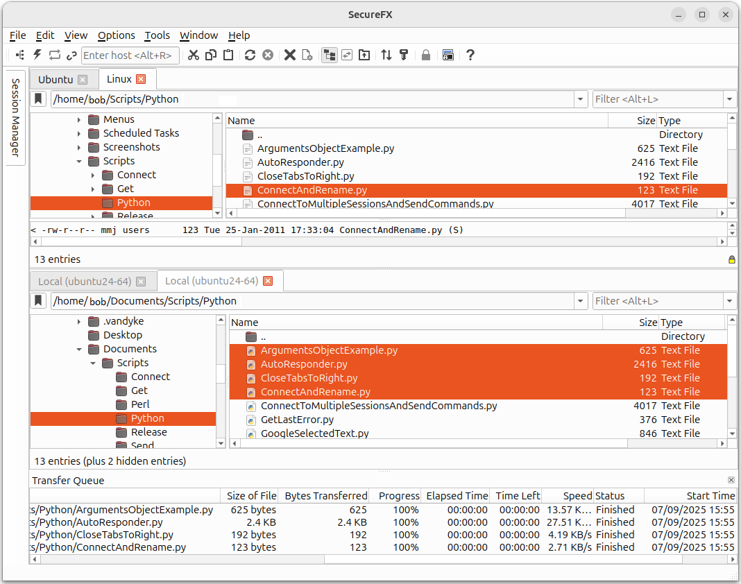 SecureFX Linux 选项卡式界面