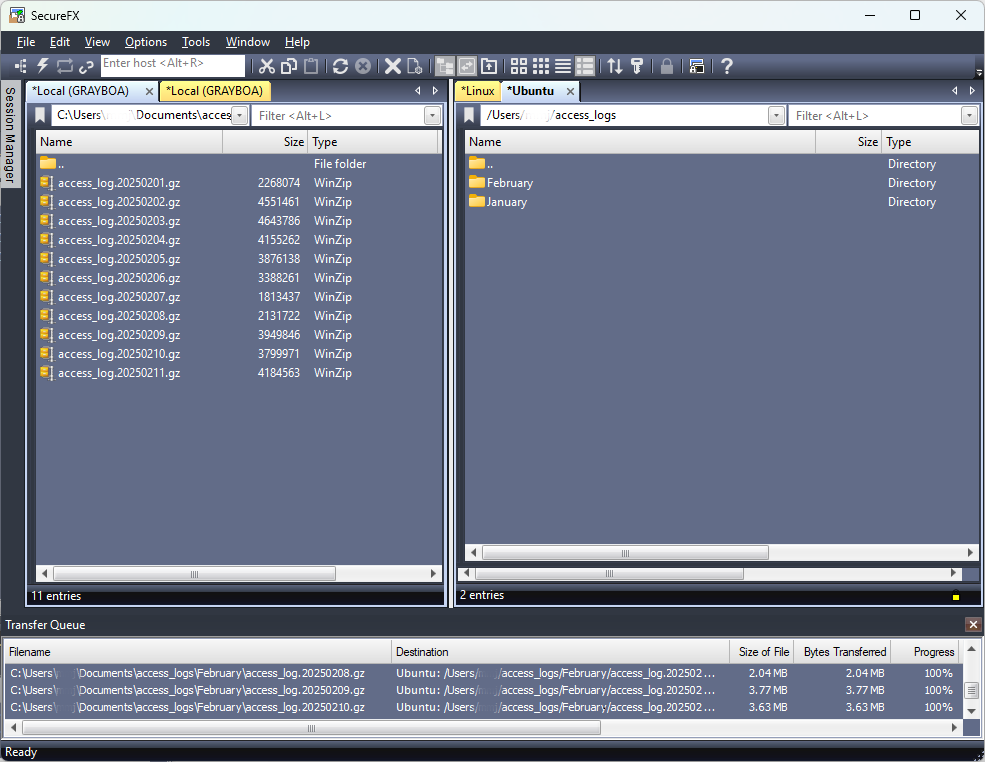 SecureFX Windows 选项卡式界面